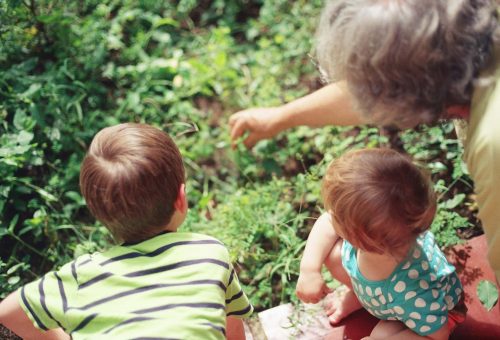 Elderly Care Services: A Comprehensive Guide for Grandparents